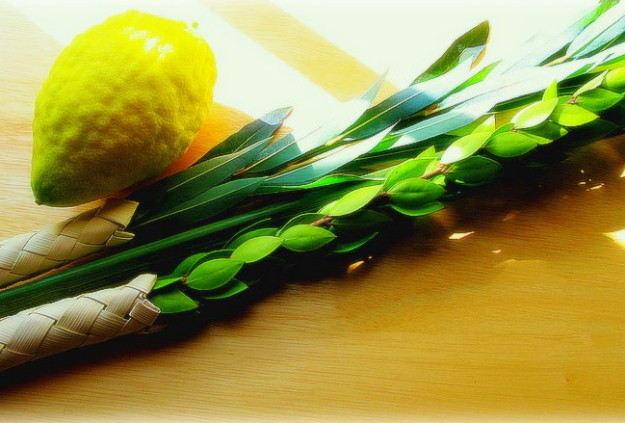 60d8f01460b524d80c519aff25f5bebf