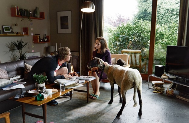 _rastsvet-3_jpg_1496697588